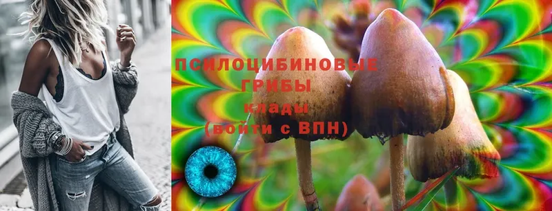 Галлюциногенные грибы MAGIC MUSHROOMS  даркнет сайт  Нефтегорск 